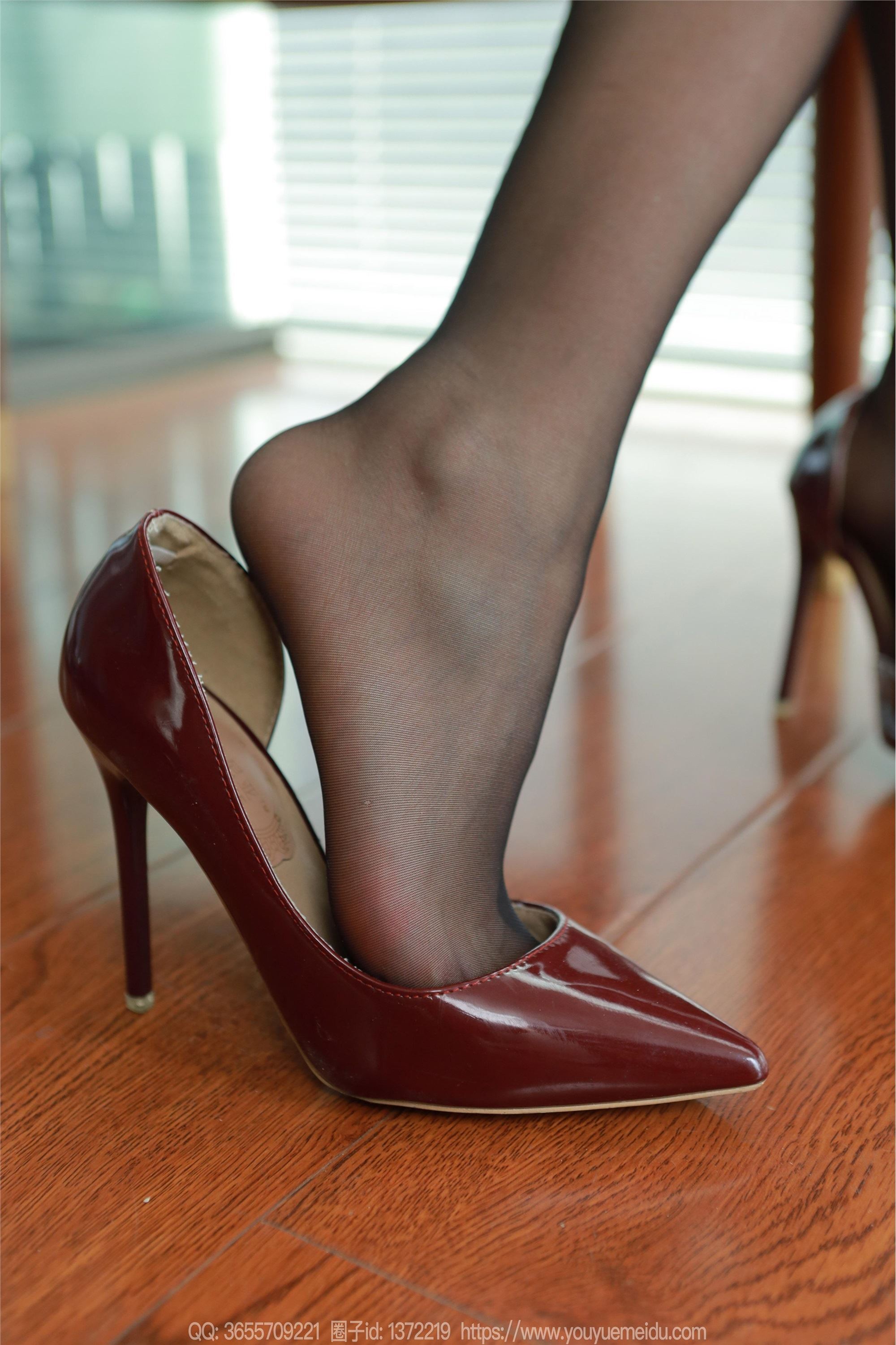 IESS异思趣向  2024.10.28 丝享家 1883 小婕《红棕丽人》